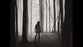Delain See Me In Shadow Lyrics