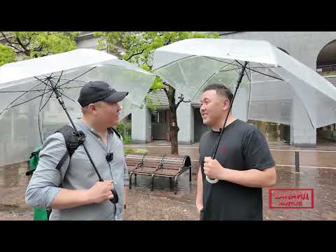 Танайд хоноё З.Мөнхбаяр Sync logistics /Япон орноор/