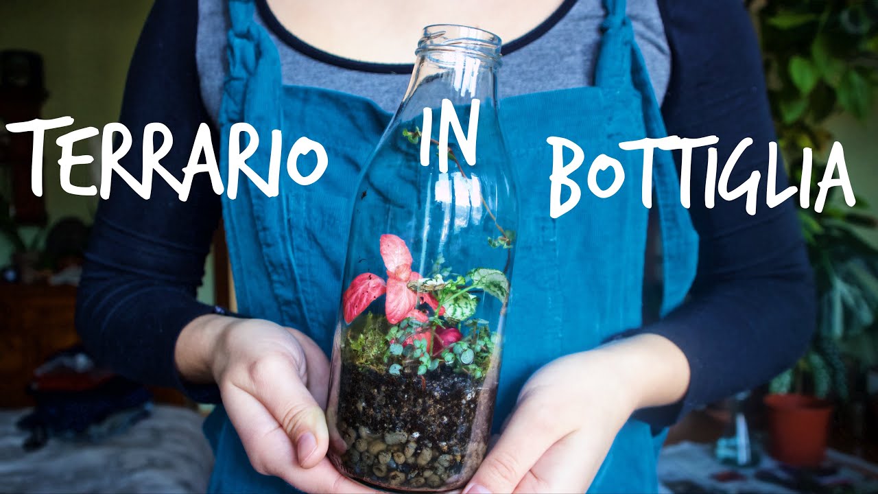 TERRARIO in BOTTIGLIA 🌱
