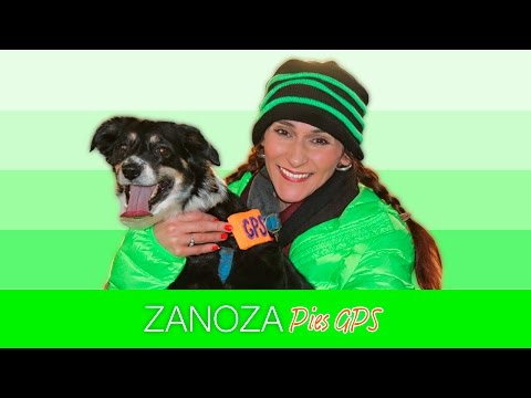Zanoza - Pies GPS (Oficjalny teledysk)
