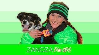 Zanoza - Pies GPS (Oficjalny teledysk)