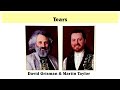Tears - David Grisman & Martin Taylor