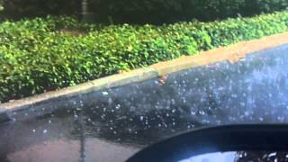 preview picture of video 'Small hail and heavy rain in Brunswick Georgia'