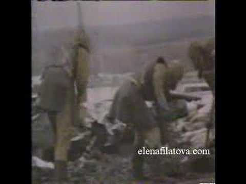 Chernobyl "Biorobots"