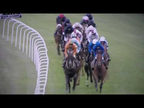 QUEEN ALEXANDRA ($98,500) 2017- ORIENTAL FOX !!!