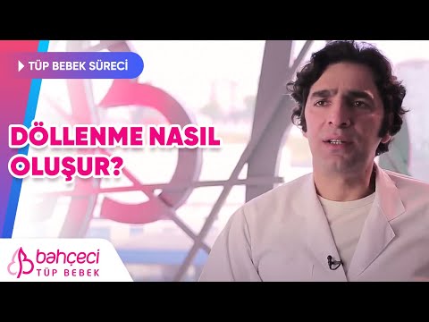 Döllenme nasıl oluşur?