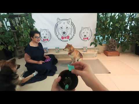 Demonstration - Numbers and Flags