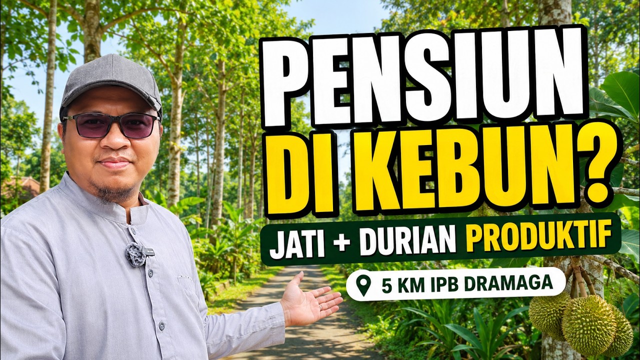 For Sale: 1500 Platinum Teak Trees Plantation, 100 Musang King Durian Trees Near IPB Dramaga Bogor