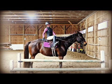 RECORD BREAKING JUMP ON MY NEW HORSE!