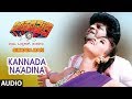 Kannada Naadina Song Simhada Mari Kannada Movie Songs Shivarajkumar Krishmaraju Hamsalekha