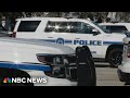 'They're all high': Rats eat drugs in New Orleans evidence storage - NBC News 'They're all high': Rats eat drugs in New Orleans evidence storage