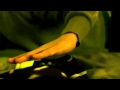 Tindersticks - Cherry Blossoms / Unmade beds