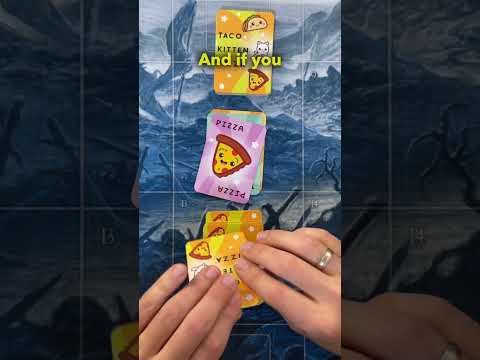 It's Taco Kitten Pizza time!