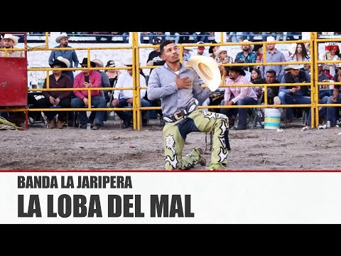 BANDA LA JARIPERA -  LA LOBA DEL MAL [ Video Oficial ] MusiCanal