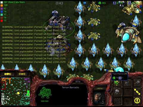 Starcraft Brood War (2020-07-19) - CPU CAT VS MOUSE