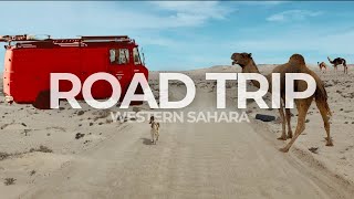 13 Travel Stories from Western Sahara| Adventure Film 2024