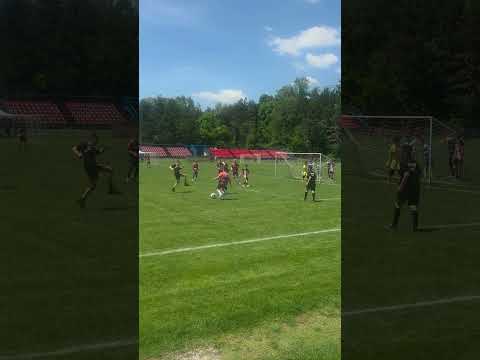Minijatura videozapisa