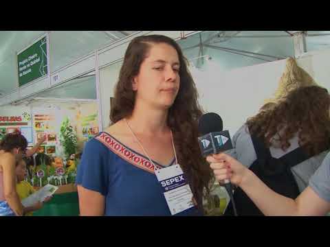 BOLETIM TJ UFSC - SEPEX - Mitos e Curiosidades da Herpetofauna