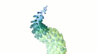 Flume - Like water feat. MNDR CARLOS Remix