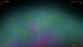 Cautious Clay - SIDEWINDER