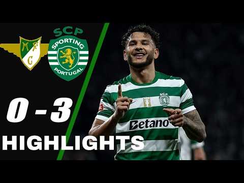 Moreirense vs Sporting CP | Resumo | Liga Portugal