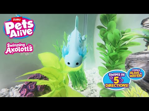 Make a splash with Swimming Axolotl 🌊