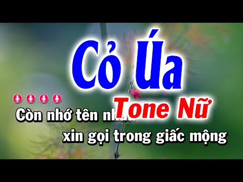 Karaoke Cỏ Úa Nhạc Sống Tone Nữ | Huỳnh Anh Karaoke