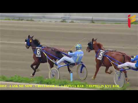 V Corsa del 26 Marzo 2022 - 5 Anni ed oltre - Metri 1600