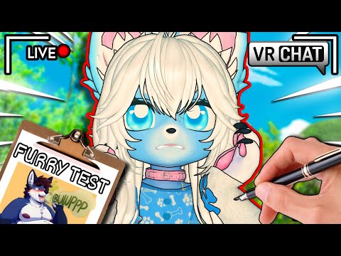 Exposing A Furry Predator At Her Own VR Chat Wedding!