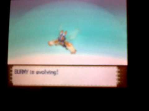 evolve a burmy to mothim