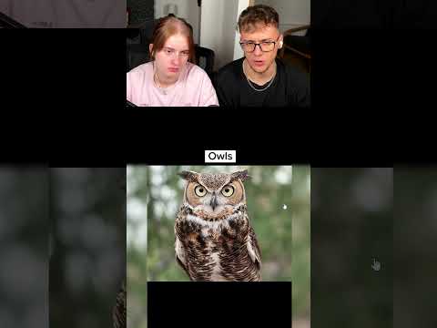 Jak tak naprawdę śpią zwierzęta?!😱😧