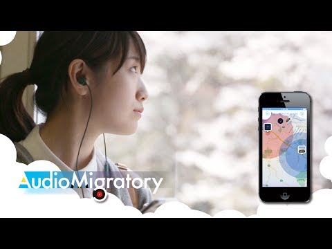 Audio Migratory (jp)