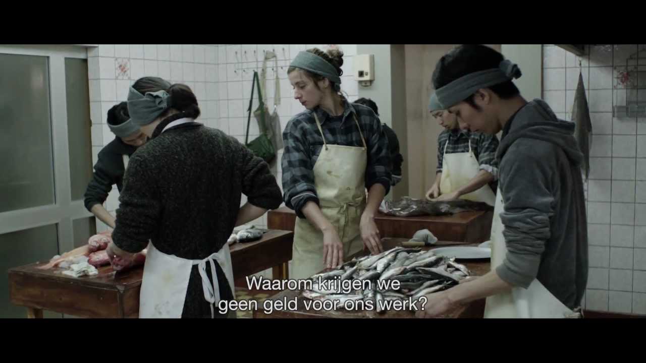 Placeholder from YouTube