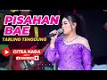 PISAHAN BAE TENGDUNG CITRA NADA LIVE DS BLANDONG DESA PESANTREN ULUJAMI PEMALANG