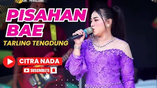 Download lagu PISAHAN BAE ~ TENGDUNG // CITRA NADA LIVE DS.BLANDONG - DESA PESANTREN // ULUJAMI - PEMALANG mp3 Download lagu PISAHAN BAE ~ TENGDUNG // CITRA NADA LIVE DS.BLANDONG - DESA PESANTREN // ULUJAMI - PEMALANG mp3