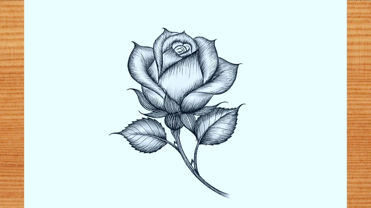 🌹 Easy Rose Drawing Step by Step | Pencil Sketch for Beginners | Rose Drawing