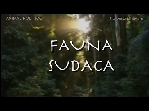 librOjO Audiovisual🔻FAUNA SUDACA  de Norberto Chavarri