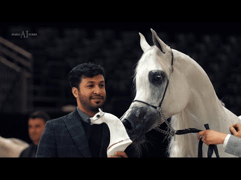 MOZN ALBIDAYER - Senior Mares class winner, 2022 Paris Arabian Horse World Championship
