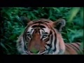 Incredible India Film