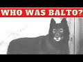 Who Was BALTO The Sled Dog