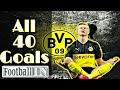 Erling Haaland ● All Goals of the season 2019/20