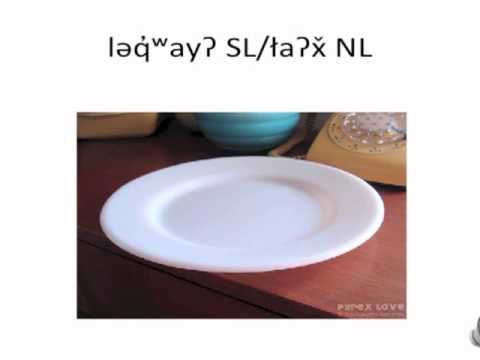 Food Words Lushootseed