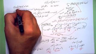 صورة 82 ★  الانفصال الإضافي