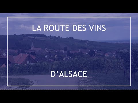 La Route des Vins d'Alsace - Reportage Histoire & Patrimoine