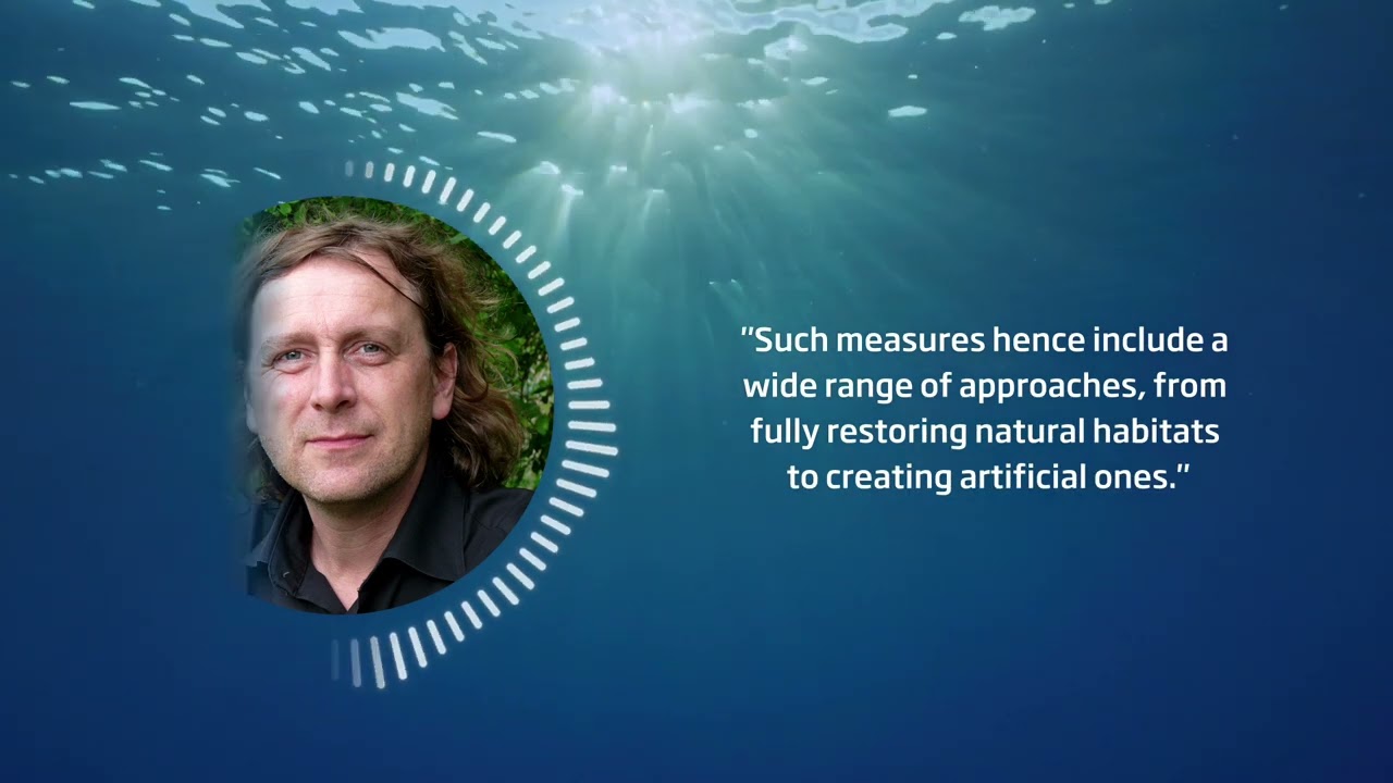 Editor's Choice - Rethinking nature-inclusive design in offshore wind and marine infrastructure