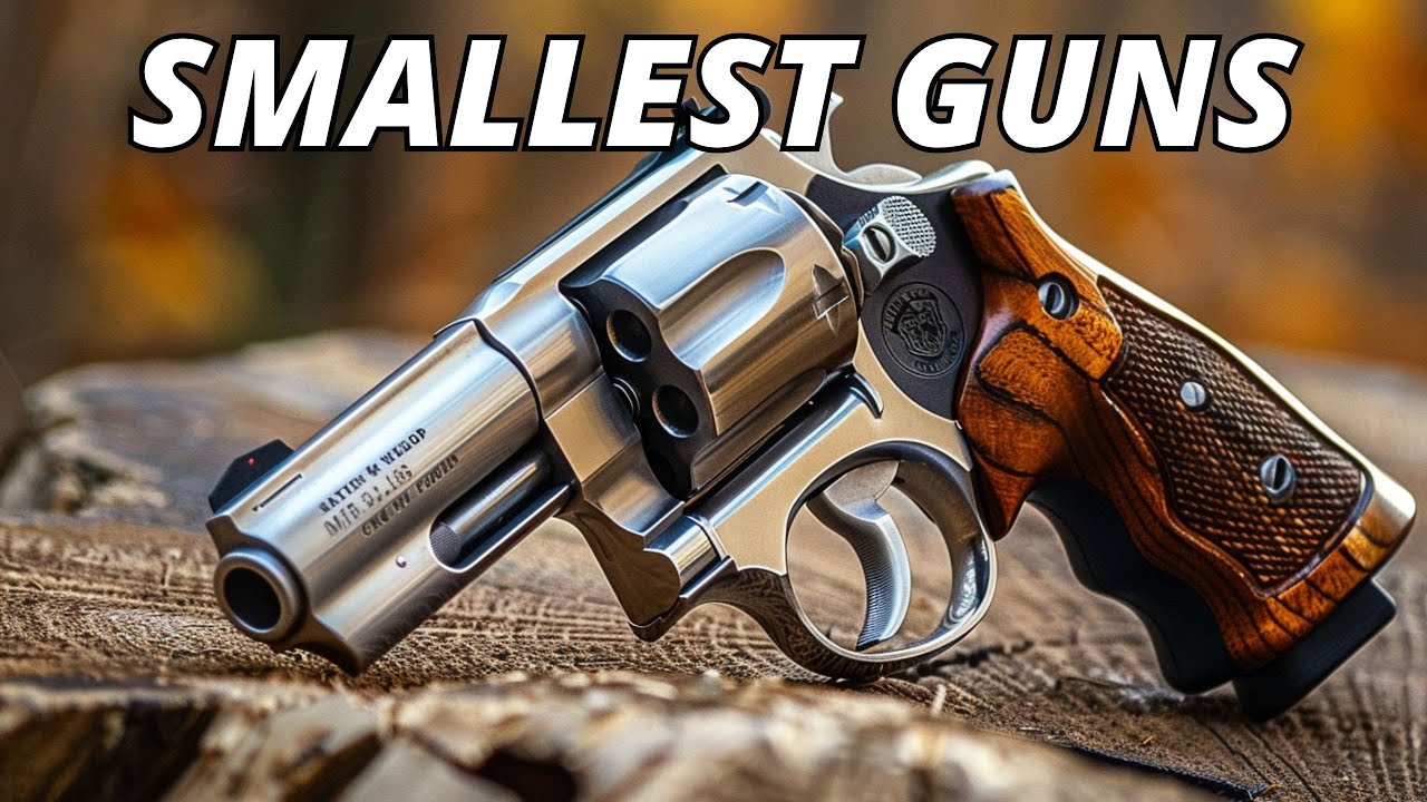SMALLEST Guns for Bug Out Bag & Home Defense 2025!