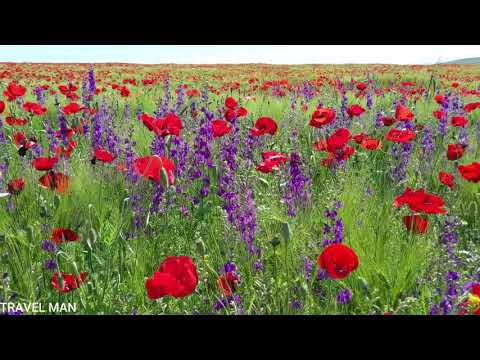 Revaz & Davit - მა ცხოვრება მუშო მოკო / Ma cxovreba musho moko / Megruli satrfialo