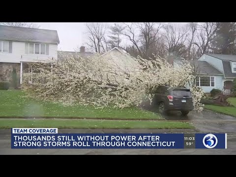 VIDEO: Fierce winds bring down trees, wires leading to thousands of outages