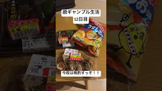 【脱ギャンブル生活12日目】夜勤前の晩酌！！