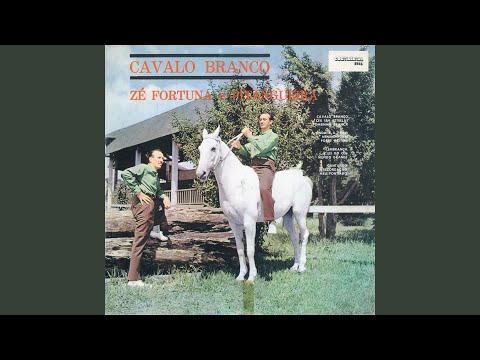 A Onda E A Praia - Zé Fortuna & Pitangueira